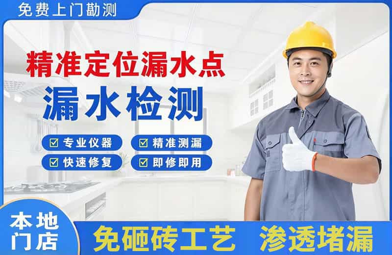 金凤精准测漏点
